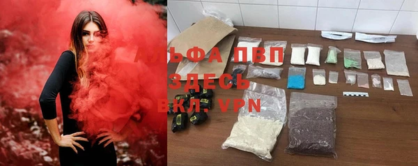 стаф Михайлов